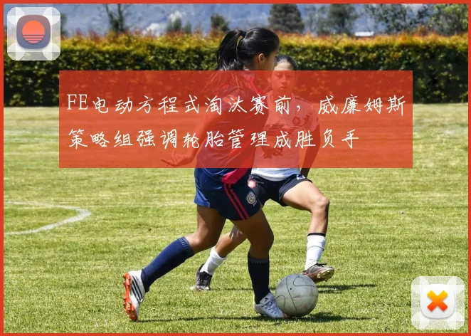 FE电动方程式淘汰赛前，威廉姆斯策略组强调轮胎管理成胜负手