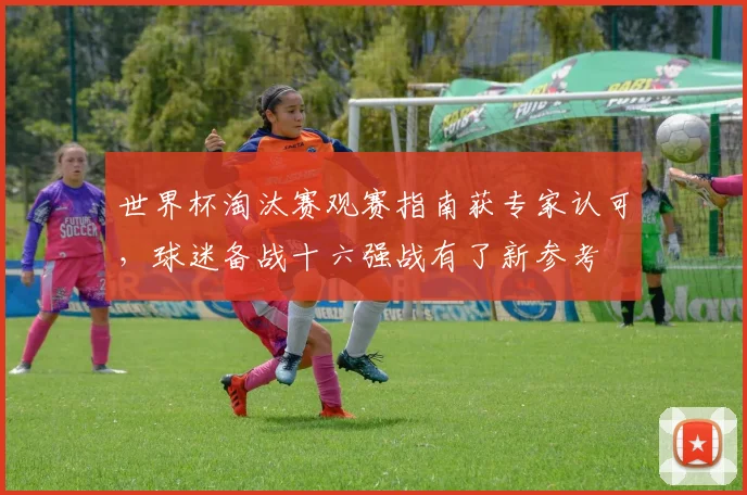 世界杯淘汰赛观赛指南获专家认可，球迷备战十六强战有了新参考